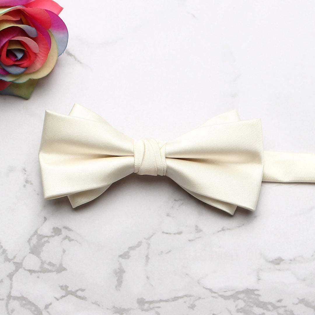Herren Elegante Doppellagige Hochzeitsgast Fliege | Formelle
